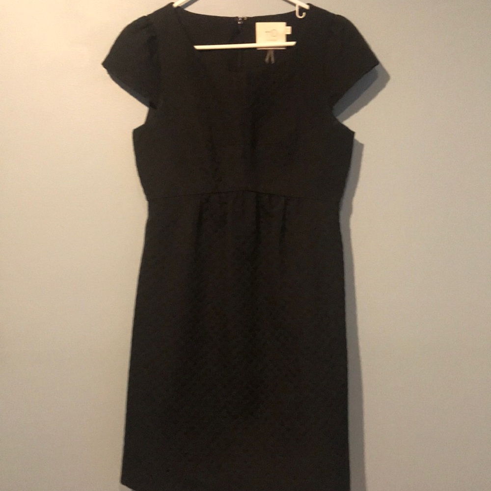 Black Empire Waist Anthropologie Dress